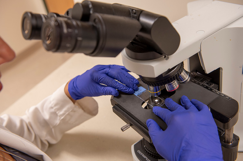 scientific microscope looking at a slide
