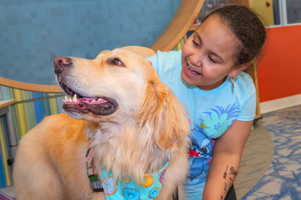 Service dog Isabela and patient at Baystate Children's Hospital