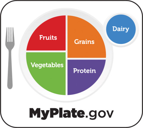 MyPlate illustration of a dinner plate with different food groups represented