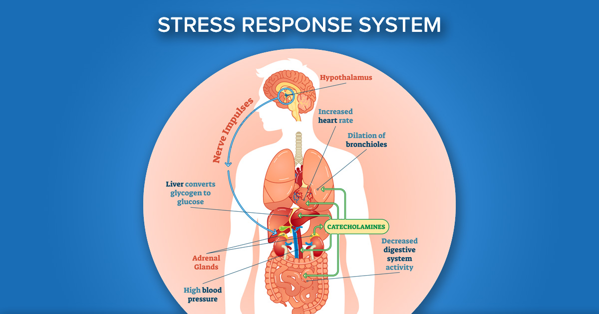 Does Stress Affect Heart Failure